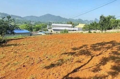 Tình trạng gom đất, cơi nới công trình chờ bồi thường dự án đường sắt