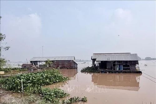 An Giang cảnh báo nguy cơ ngập do lũ kết hợp triều cường