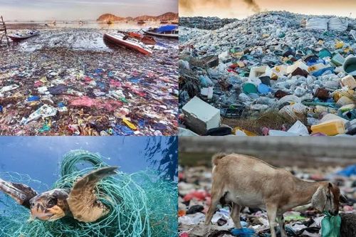 TP Hồ Chí Minh thúc đẩy ứng dụng vật liệu phân hủy sinh học