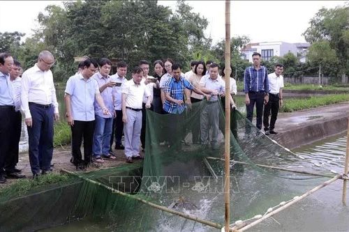 Phú Thọ: Hướng tới phát triển nông nghiệp giá trị cao