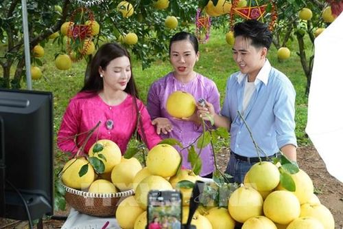 Đưa sản phẩm OCOP vươn xa trên nền tảng số
