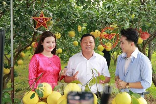Nền tảng số mở đường cho đặc sản Hà Tĩnh vươn xa