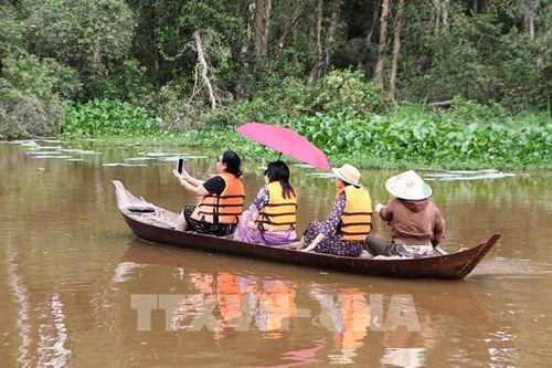 Mùa nước nổi, Đồng Tháp đẹp theo một cách rất riêng