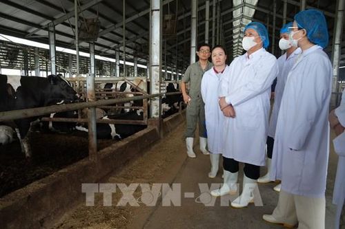 Tiếp sức doanh nghiệp đổi mới, làm chủ công nghệ