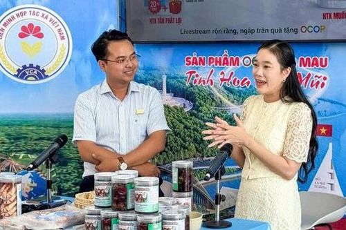 Cà Mau xây dựng chuẩn mực đạo đức, văn hóa kinh doanh cho phụ nữ khởi nghiệp