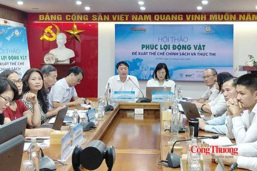 Phúc lợi động vật: Việt Nam đang ở đâu trên bản đồ thế giới?