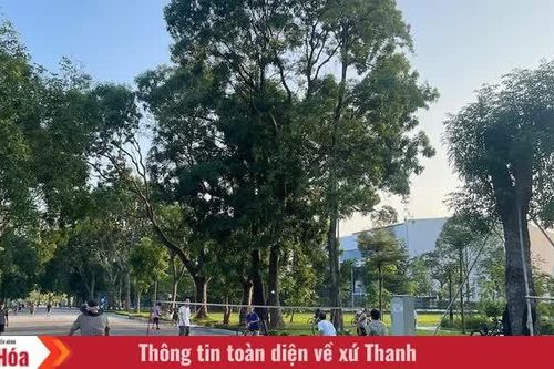 Từ những bước chân đến nếp sống khỏe mỗi ngày