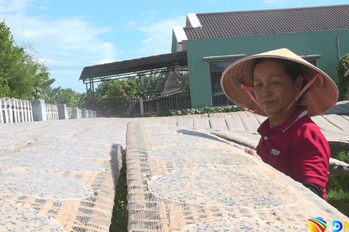 Xã Thăng Điền tập huấn chương trình OCOP giai đoạn 2026 - 2030