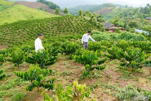 Đề án 79 - Kiến tạo cuộc sống mới nơi biên cương (bài 3)