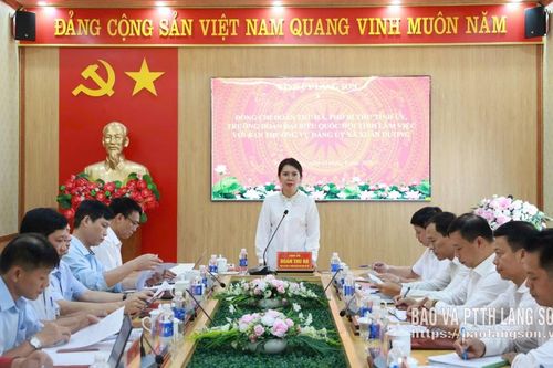 Đồng chí Phó Bí thư Tỉnh uỷ làm việc với Ban Thường vụ Đảng ủy xã Xuân Dương