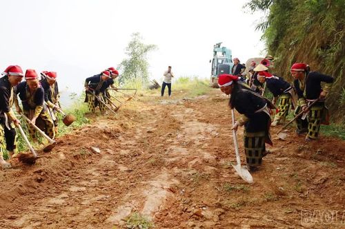 Các đồng chí lãnh đạo tỉnh dự Lễ phát động Phong trào xây dựng đường giao thông nông thôn đợt 2 năm 2026