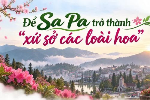 Để Sa Pa trở thành “xứ sở các loài hoa”