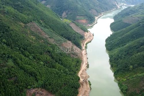 Gỡ khó xác minh nguồn gốc vùng trồng quế tại Bảo Nhai, Cốc Lầu