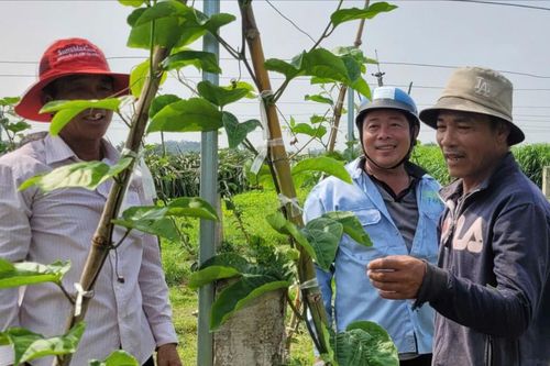 Nông thôn mới từ những thay đổi xanh