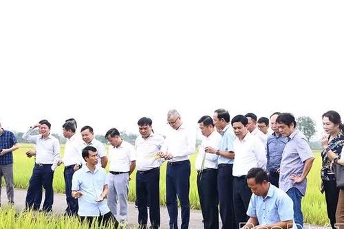 Ứng dụng khoa học công nghệ để nhân rộng mô hình sản xuất nông nghiệp hiệu quả