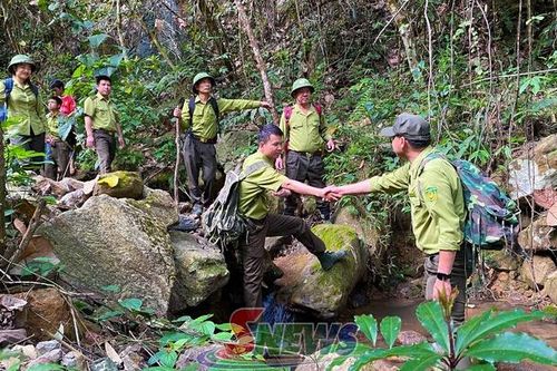 Chuyện những người lính giữ rừng