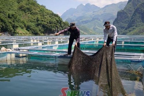Mường La tập trung nguồn lực xây dựng nông thôn mới
