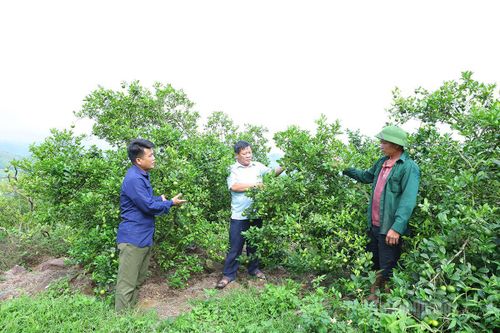 Thêm động lực lo việc thôn, việc phố