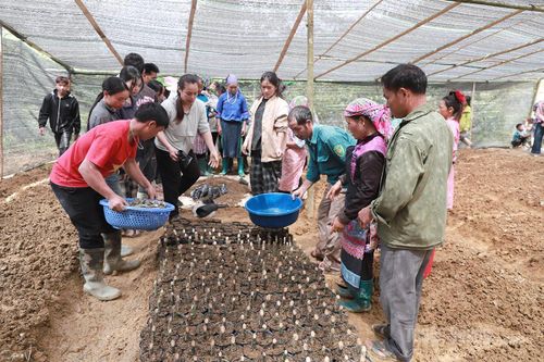 Ly nông bất ly hương