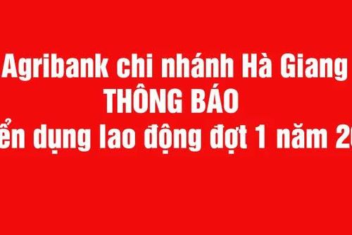 Agribank Chi nhánh Hà Giang tuyển dụng lao động đợt 1 năm 2026