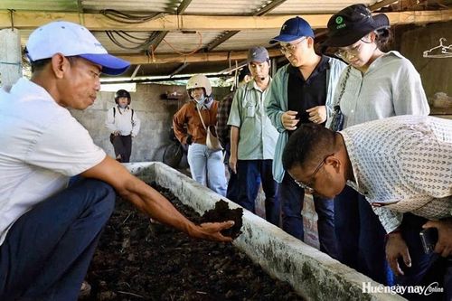 Tự tin với mô hình kinh tế tổng hợp