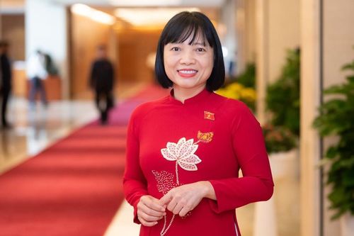 Nghiên cứu một luật để sửa nhiều luật
