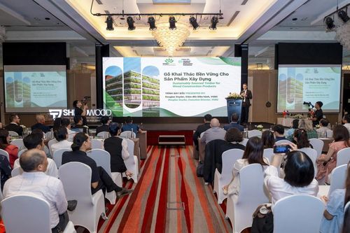 Gỡ 'nút thắt' tiêu chuẩn, mở đường cho Mass Timber vào công trình