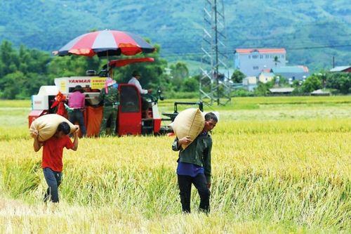 Chương trình mục tiêu quốc gia: Khẩn trương đưa vốn đến nơi cần