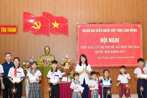 Cử tri Tân Thành, Lâm Đồng kiến nghị đẩy nhanh tiến độ dự án ĐT719, ĐT719B