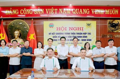Bình Điền - Ninh Bình hợp tác Hội Nông dân thúc đẩy nông nghiệp xanh