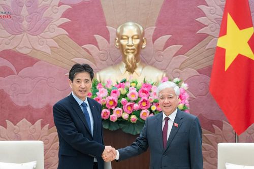 Việt Nam - Hàn Quốc: Thúc đẩy hơn nữa hoạt động giao lưu nhân dân