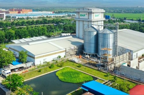 BAF phát hành 8 triệu cổ phiếu ESOP