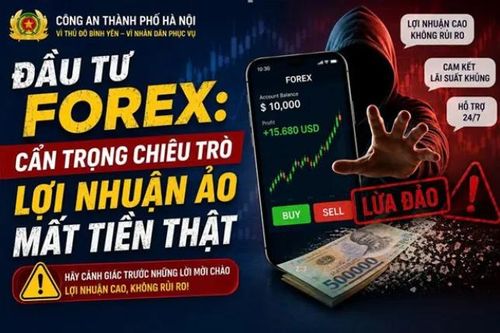 Cảnh giác bẫy đầu tư Forex trên các sàn giao dịch ảo