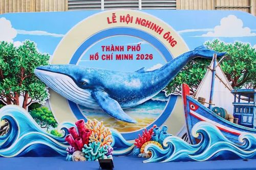 Nhiều hoạt động ấn tượng tại Lễ hội Nghinh Ông ở TP Hồ Chí Minh
