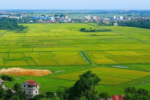 Đề xuất lùi thời hạn hoàn thành cơ sở dữ liệu đất đai