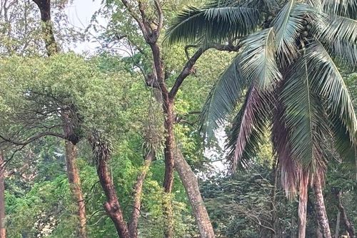 Các hình thái thời tiết cần chú ý trong tháng 10