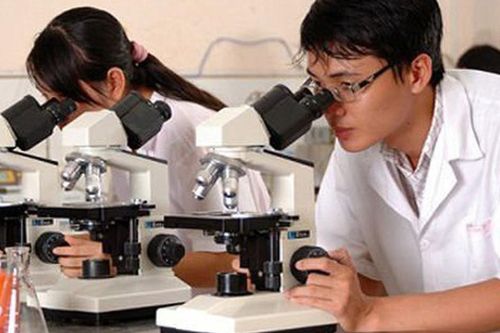 Từ 1/10/2026, thực hiện Quỹ Học bổng Quốc gia theo quy định mới