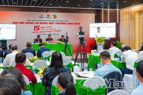 Kiện toàn quản trị, mở rộng lĩnh vực, hướng đến phát triển bền vững