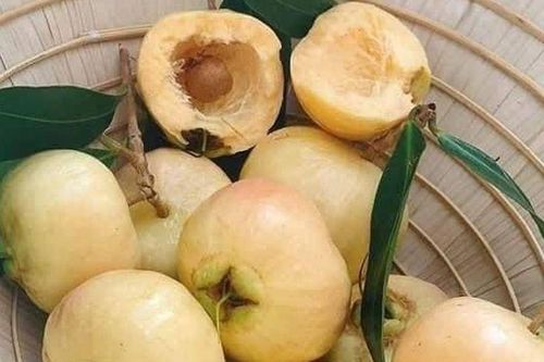 Loại quả thơm như hương hoa, xưa chín rụng đầy gốc chẳng mấy ai nhặt, nay lên thành phố giá tới 200.000 đồng/kg