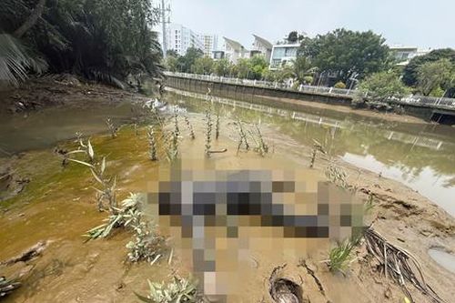 TPHCM: Tìm người nhà của một thanh niên tử vong gần cầu Phú Mỹ