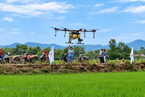 Công nghệ mở hướng phát triển nông nghiệp đa giá trị ở Đà Nẵng