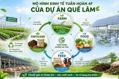 Quảng Trị hợp tác với Tập đoàn Quế Lâm phát triển các mô hình nông nghiệp hữu cơ, tuần hoàn
