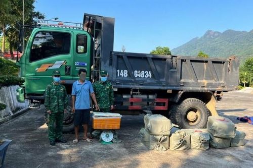 Quảng Ninh: Phát hiện xe chở 400kg nầm lợn đông lạnh không rõ nguồn gốc.