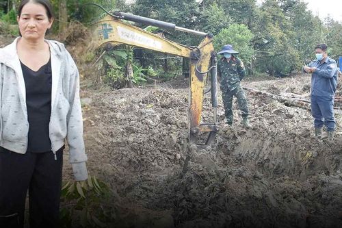 Người phụ nữ chặt bỏ vườn sầu riêng hơn 100 cây giúp tìm hài cốt liệt sĩ