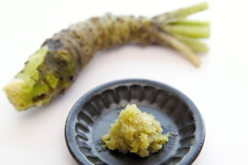 Nhật Bản thử nghiệm hợp chất từ wasabi hỗ trợ tái tạo ngà răng