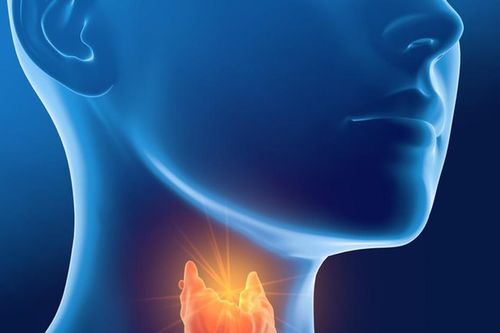Người bệnh tuyến giáp nên ăn uống thế nào?