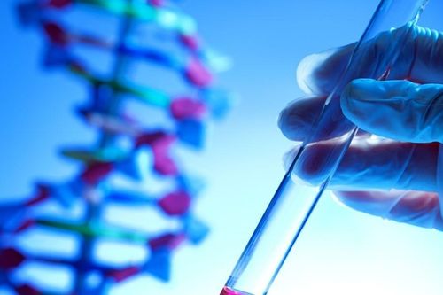 Thứ có khả năng bất tử trong DNA