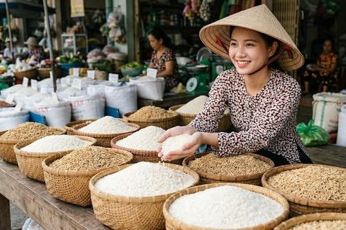 Giá lúa gạo hôm nay 24.9.2026: Thị trường bất ngờ phân hóa