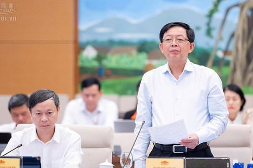 Tạo thuận lợi tối đa cho hoạt động đăng ký, xác lập và khai thác quyền sở hữu trí tuệ
