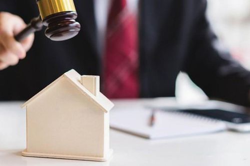 Thông qua báo cáo tiếp thu, giải trình dự thảo Luật Đấu giá tài sản (sửa đổi)